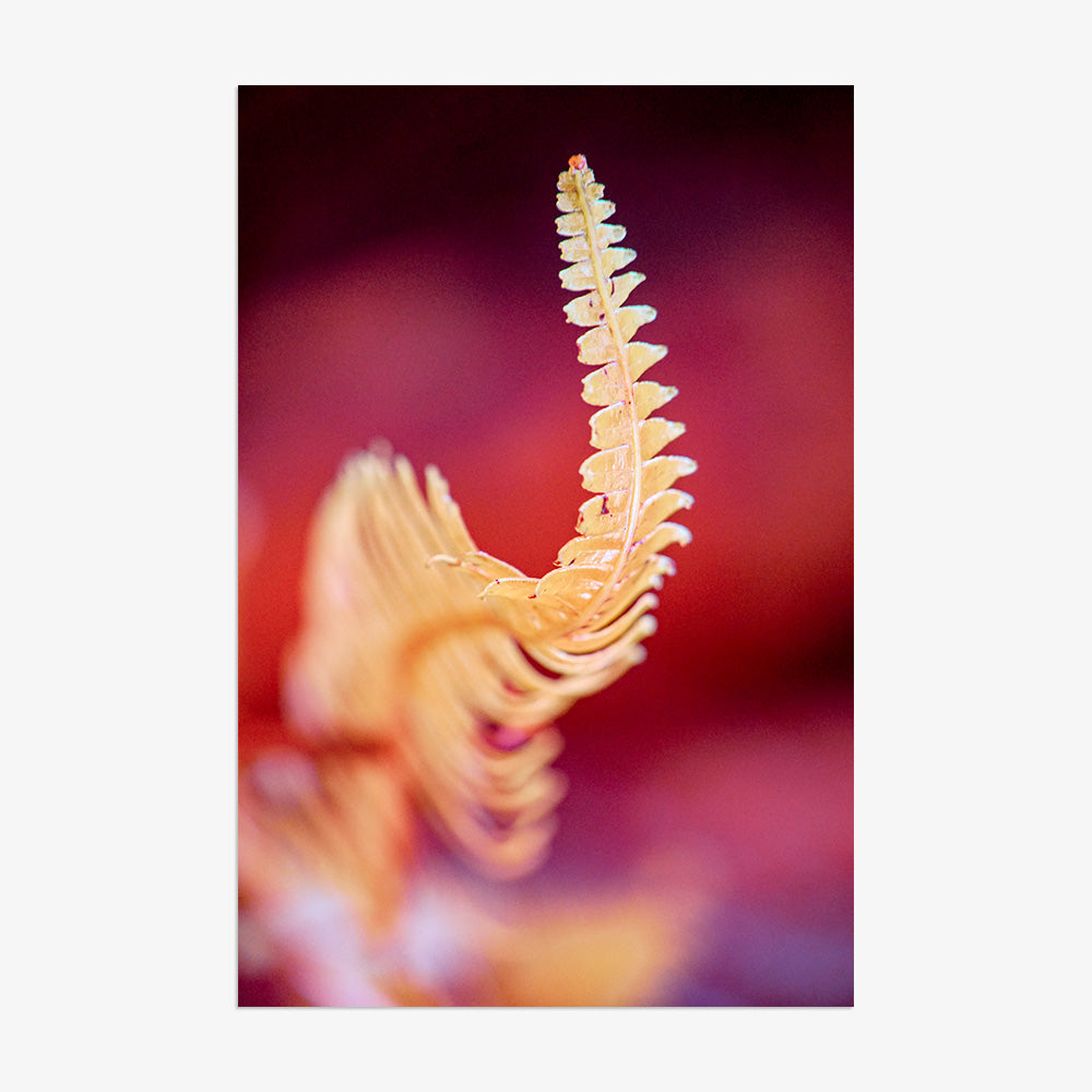 Photograph by Brian Merriam