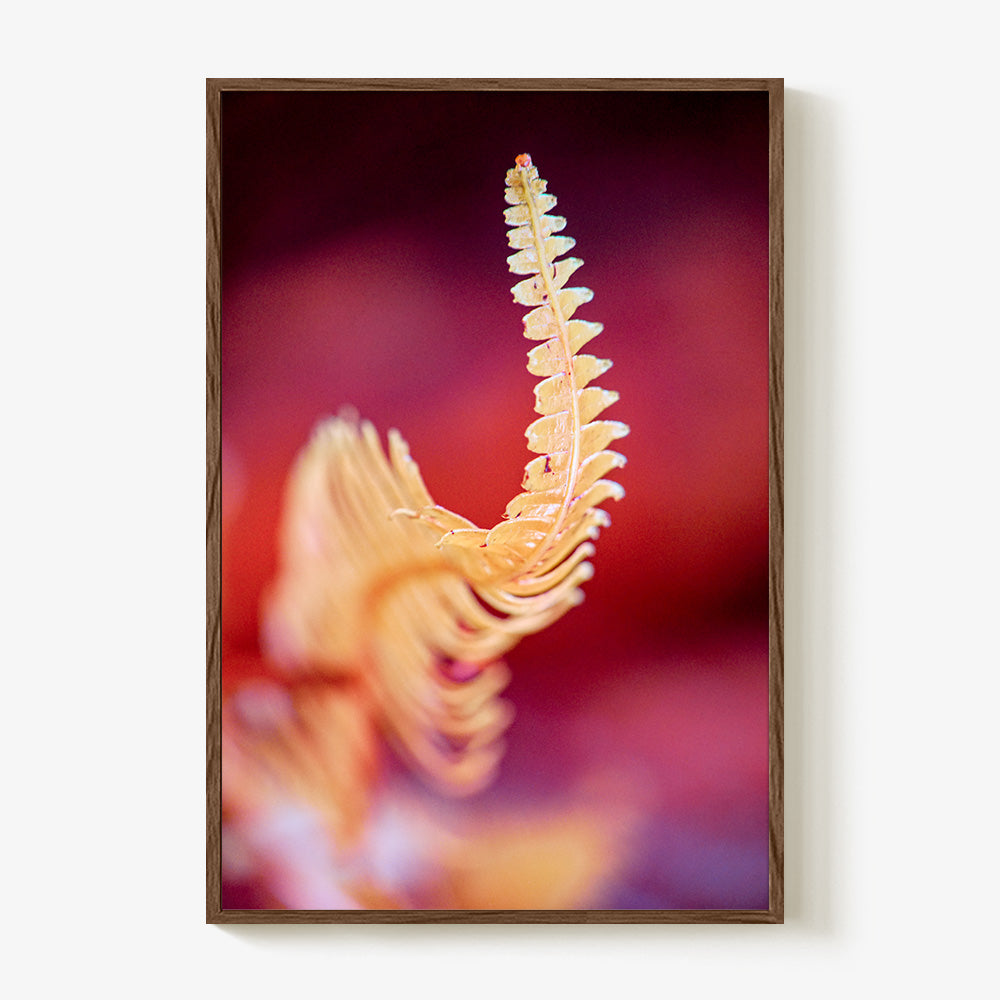 Photograph by Brian Merriam