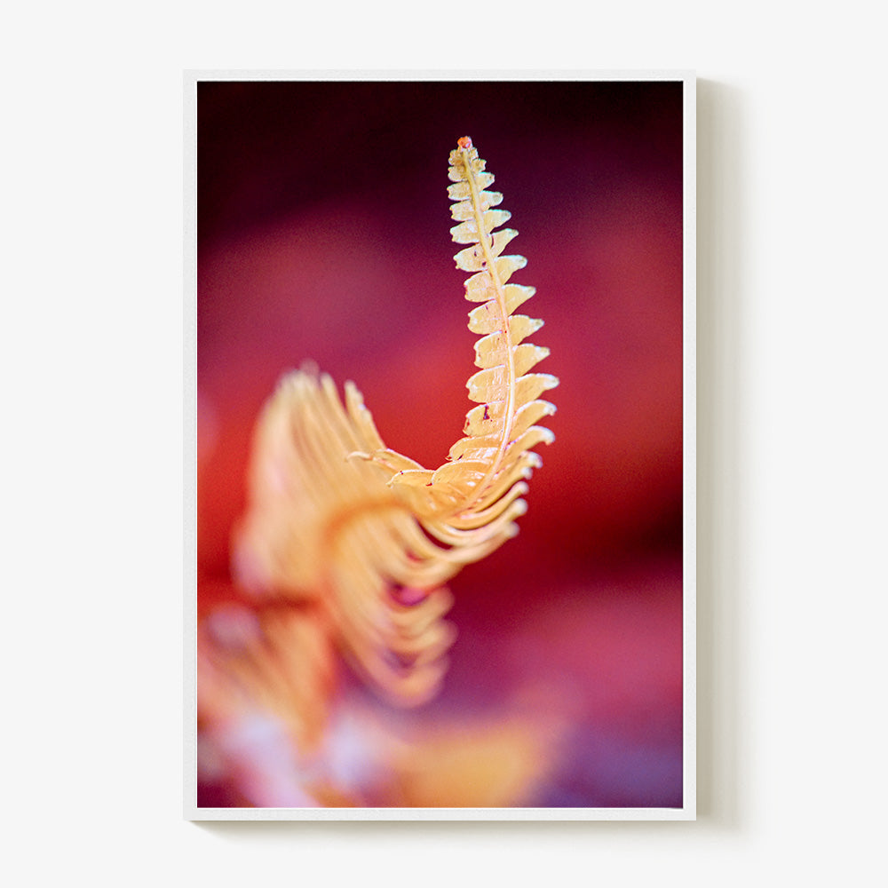 Photograph by Brian Merriam