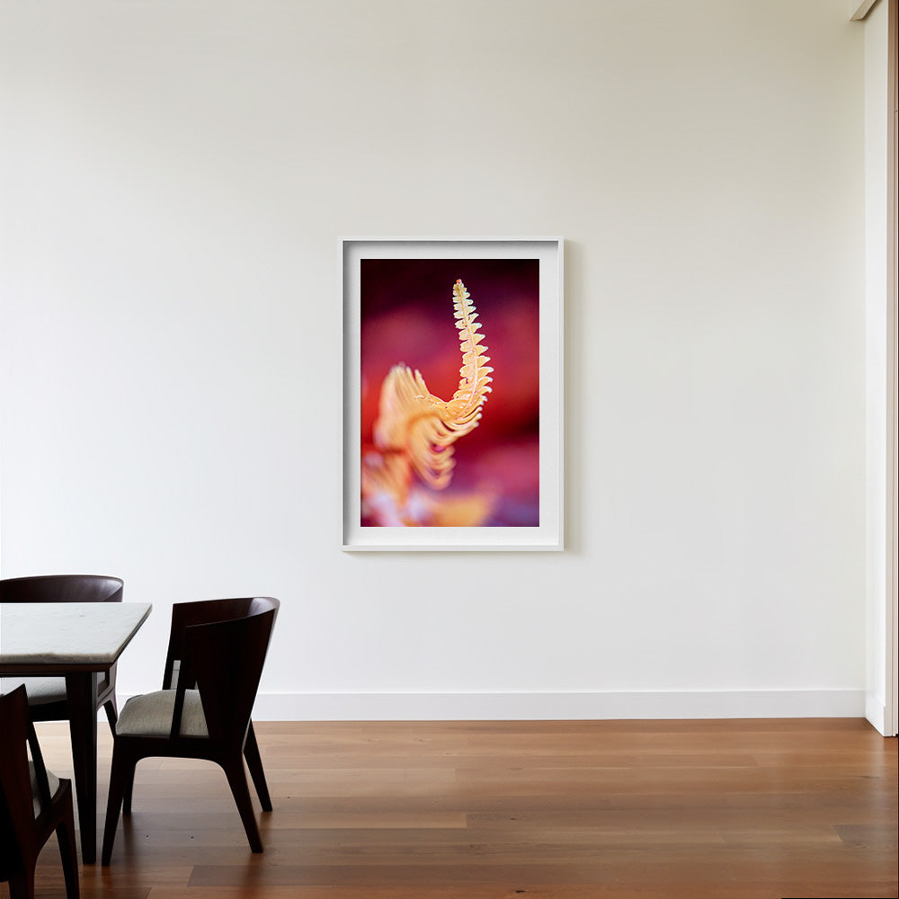 Photograph by Brian Merriam