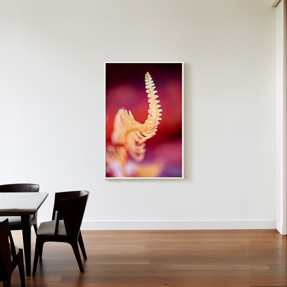 Photograph by Brian Merriam