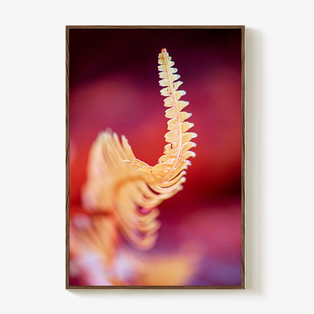 Photograph by Brian Merriam