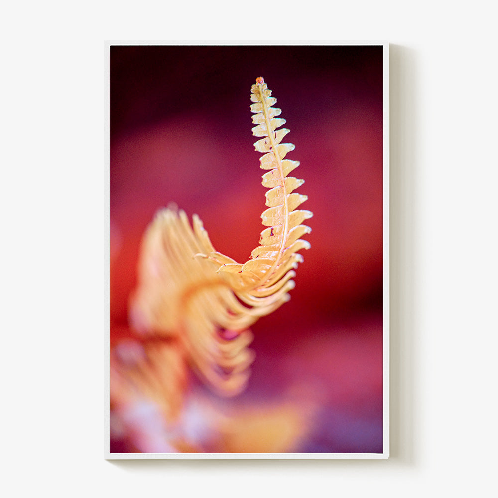 Photograph by Brian Merriam