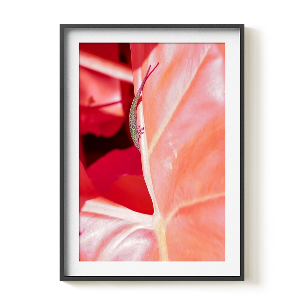 Photograph by Brian Merriam