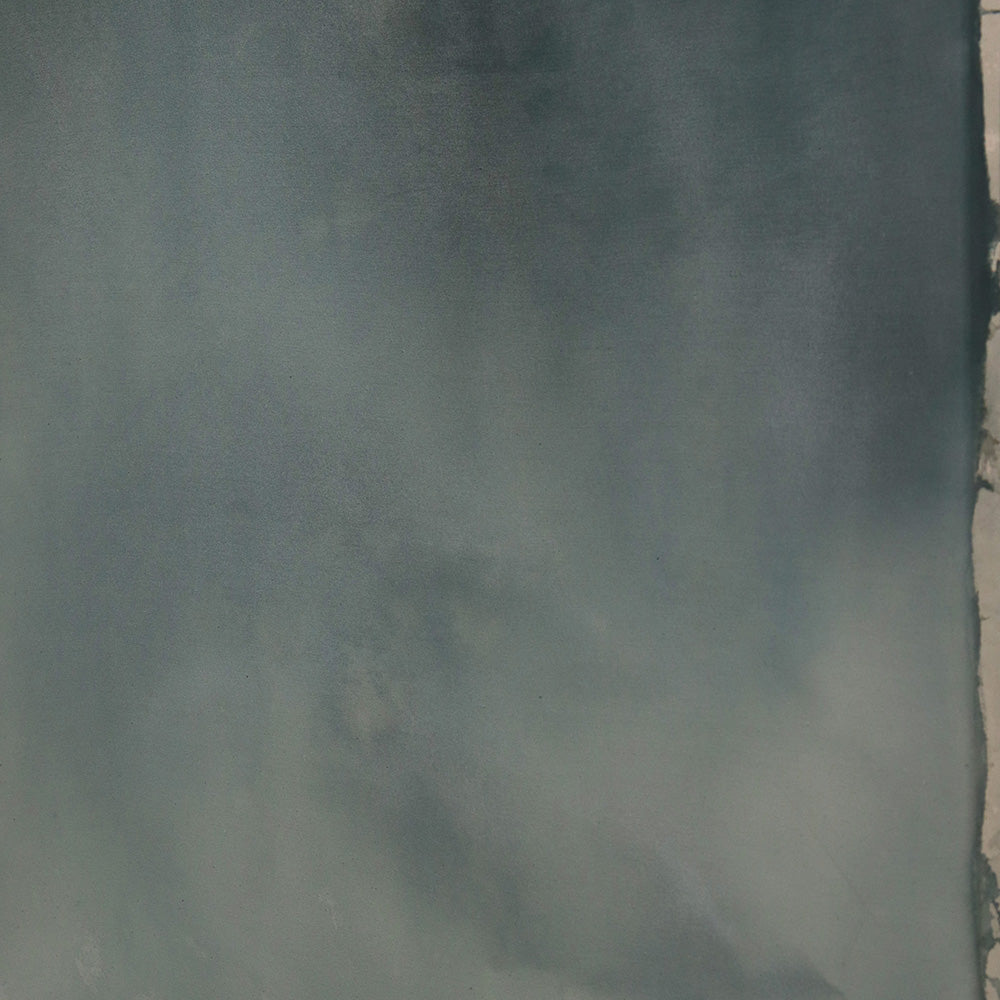 Painting by Ali Enache