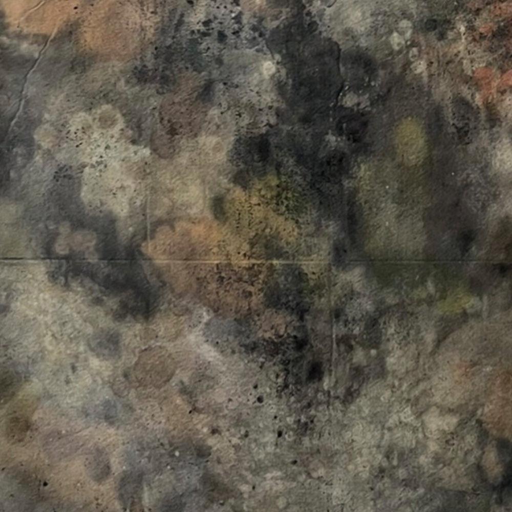 Painting by Sarah White