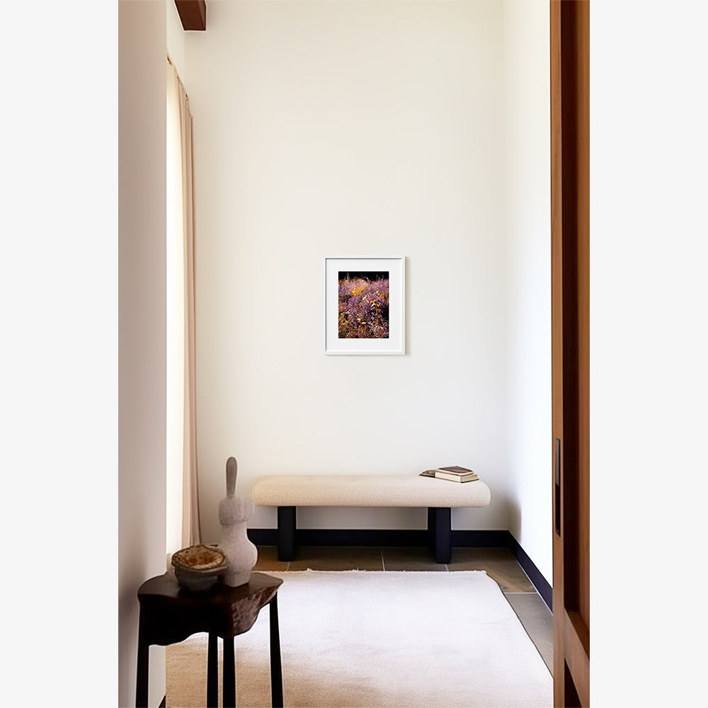 Photograph by Jacques Brun