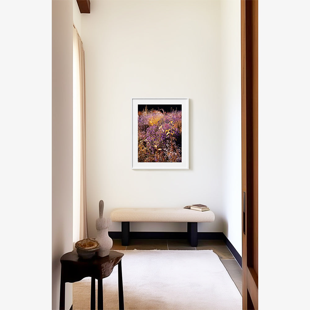 Photograph by Jacques Brun