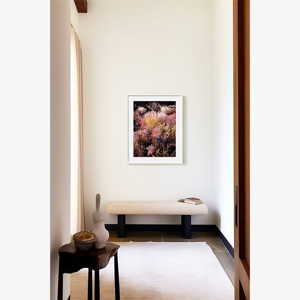 Photograph by Jacques Brun