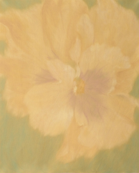 Close-up view of a floral painting featuring blurred gentle strokes of yellow white and subtle lavender