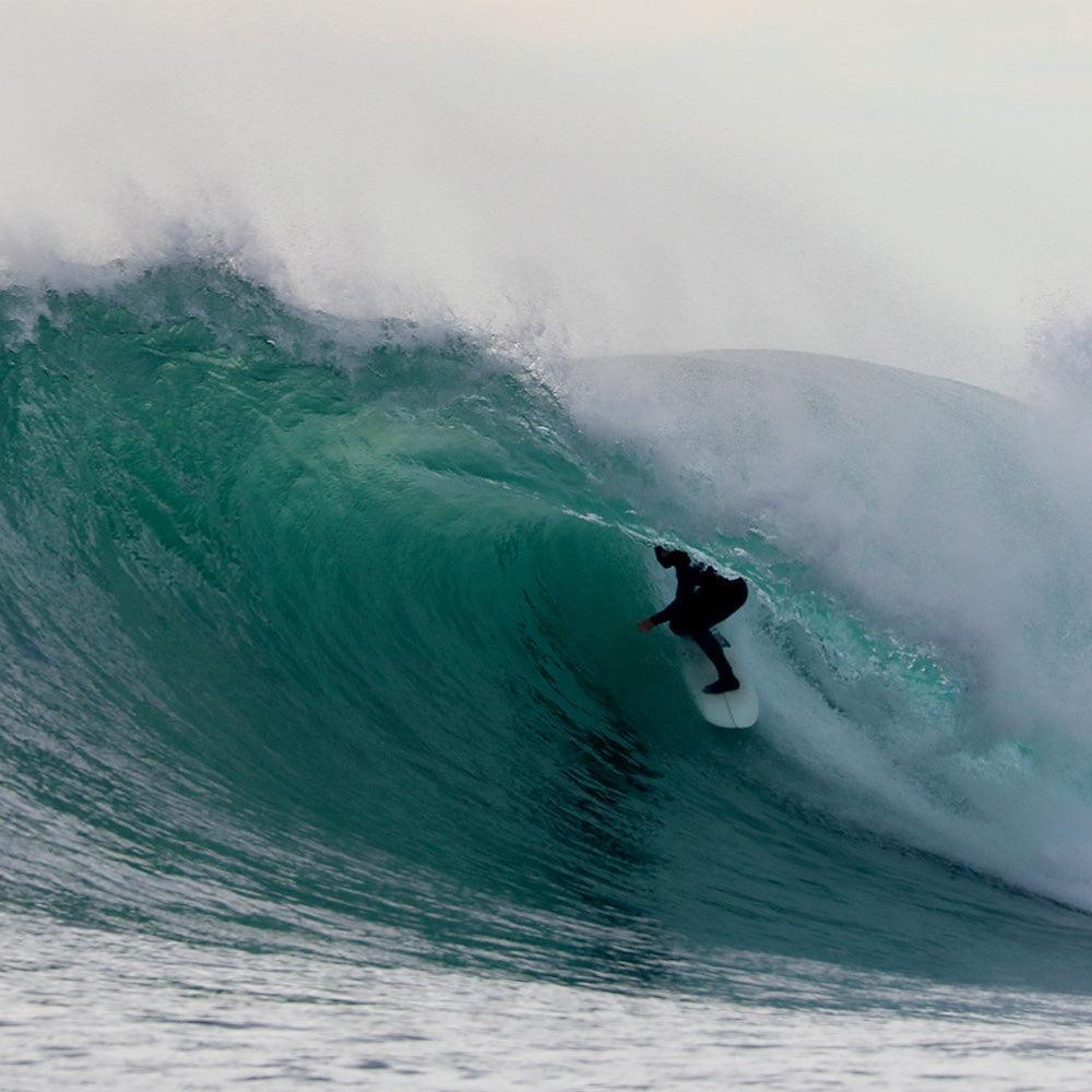 Photograph by Isaac Zoller