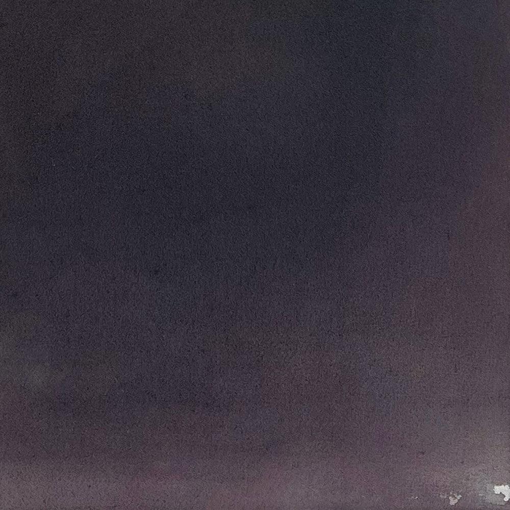 Painting by Ali Enache