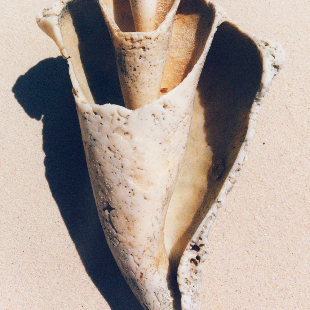 Sand