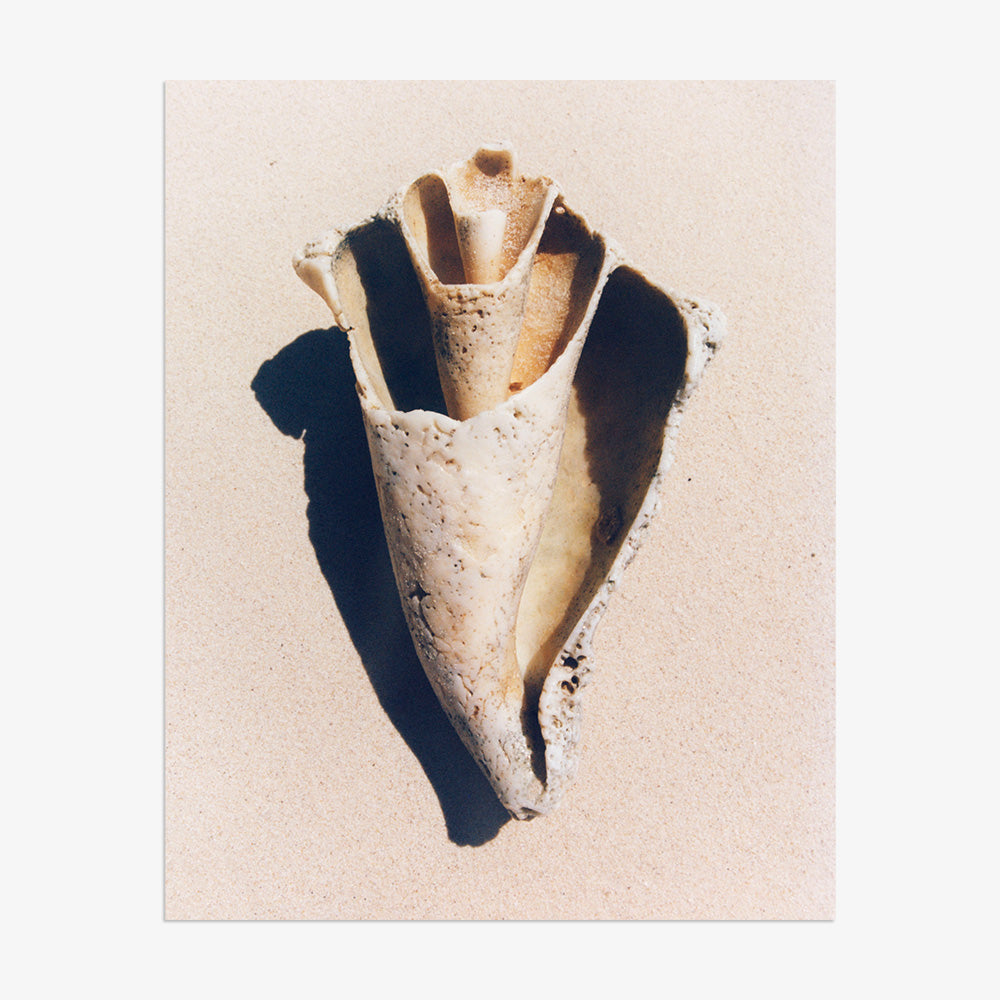 Sand