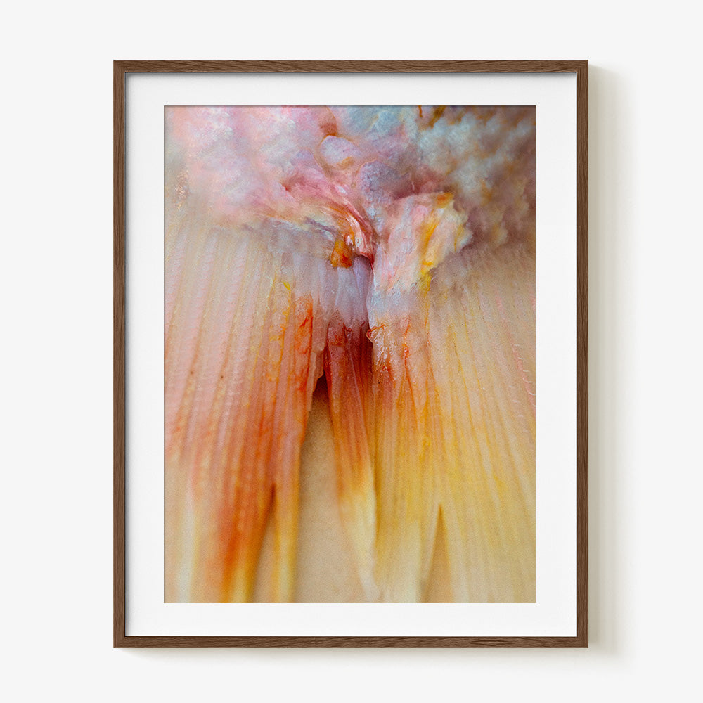 Photograph by Katie Burdon