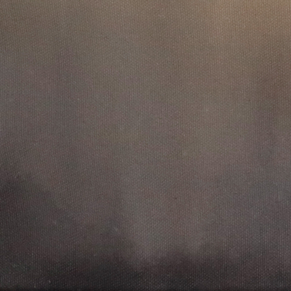Painting by Ali Enache