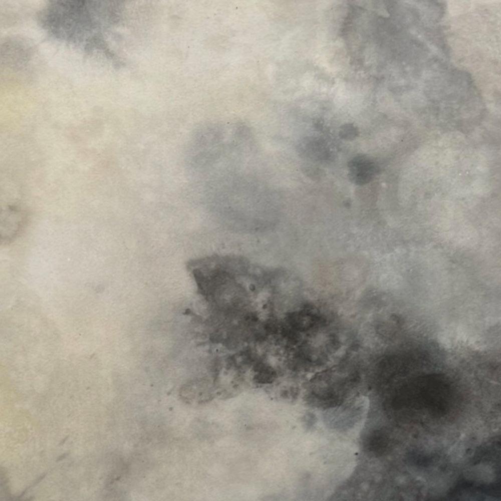 Painting by Sarah White