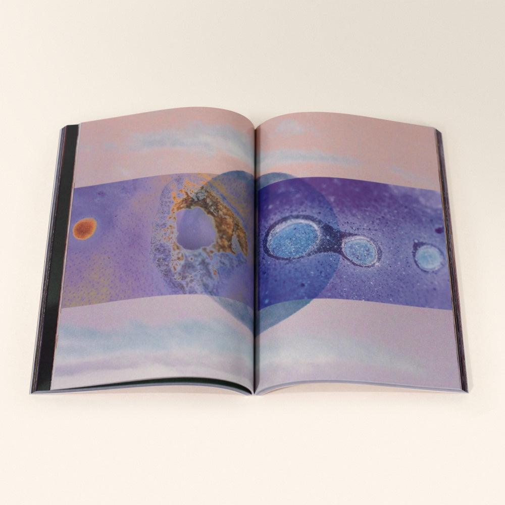 Books and Zines by Brian Merriam