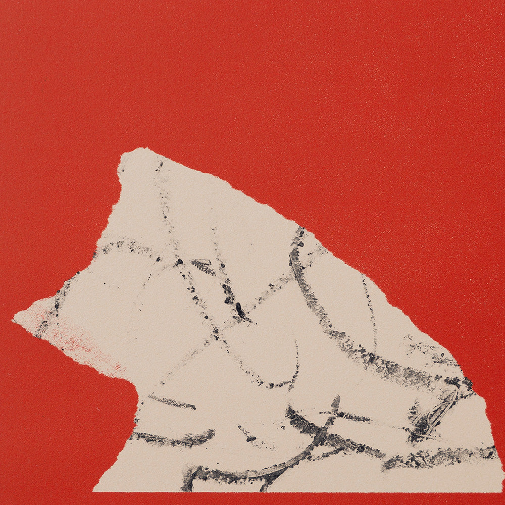 Print by Mike McMullen