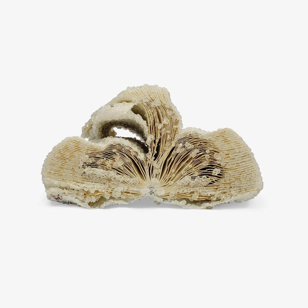 To Kill A Mockingbird (version 1) , Sculpture by To Kill A Mockingbird (version 1) Tappan