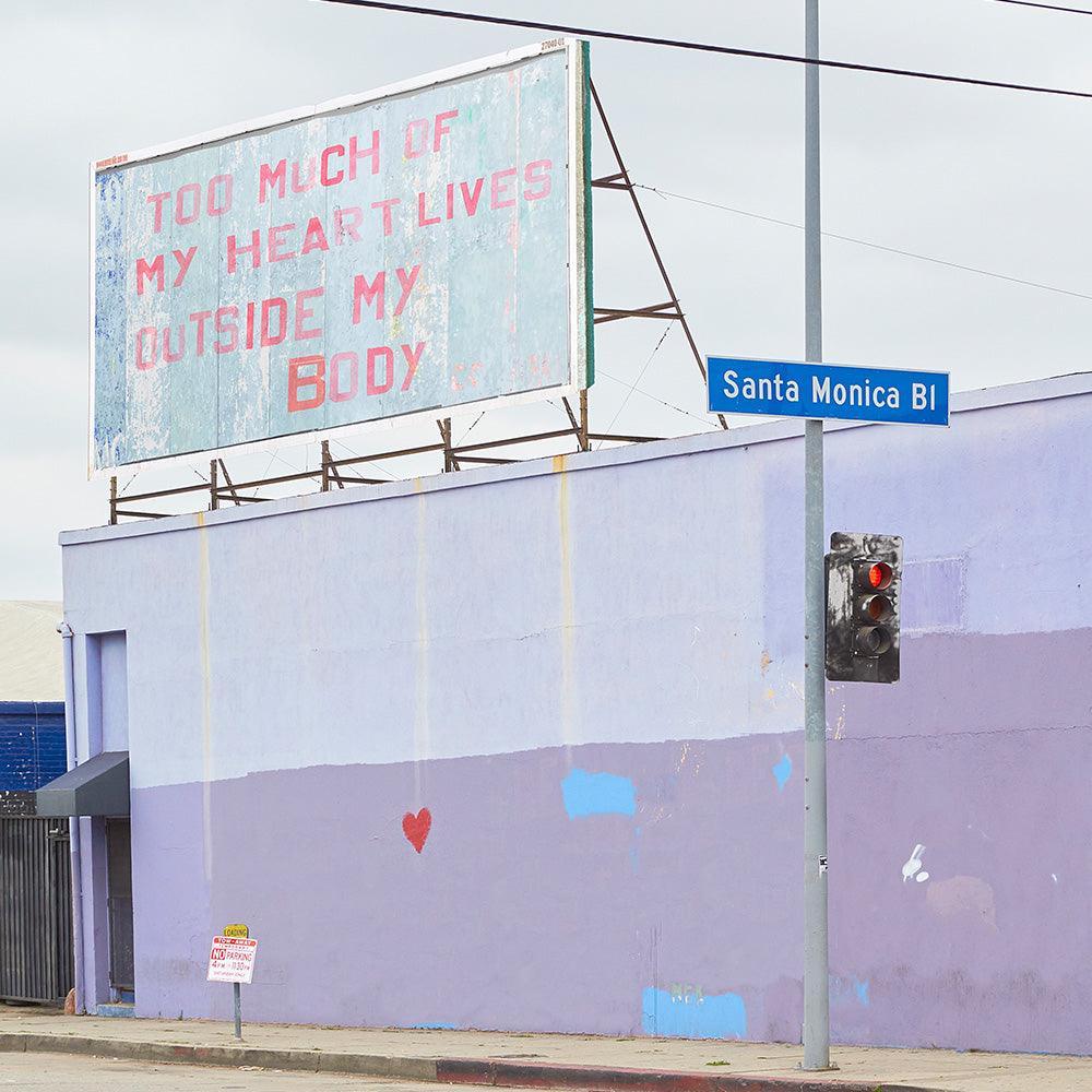 Photograph by James Needham