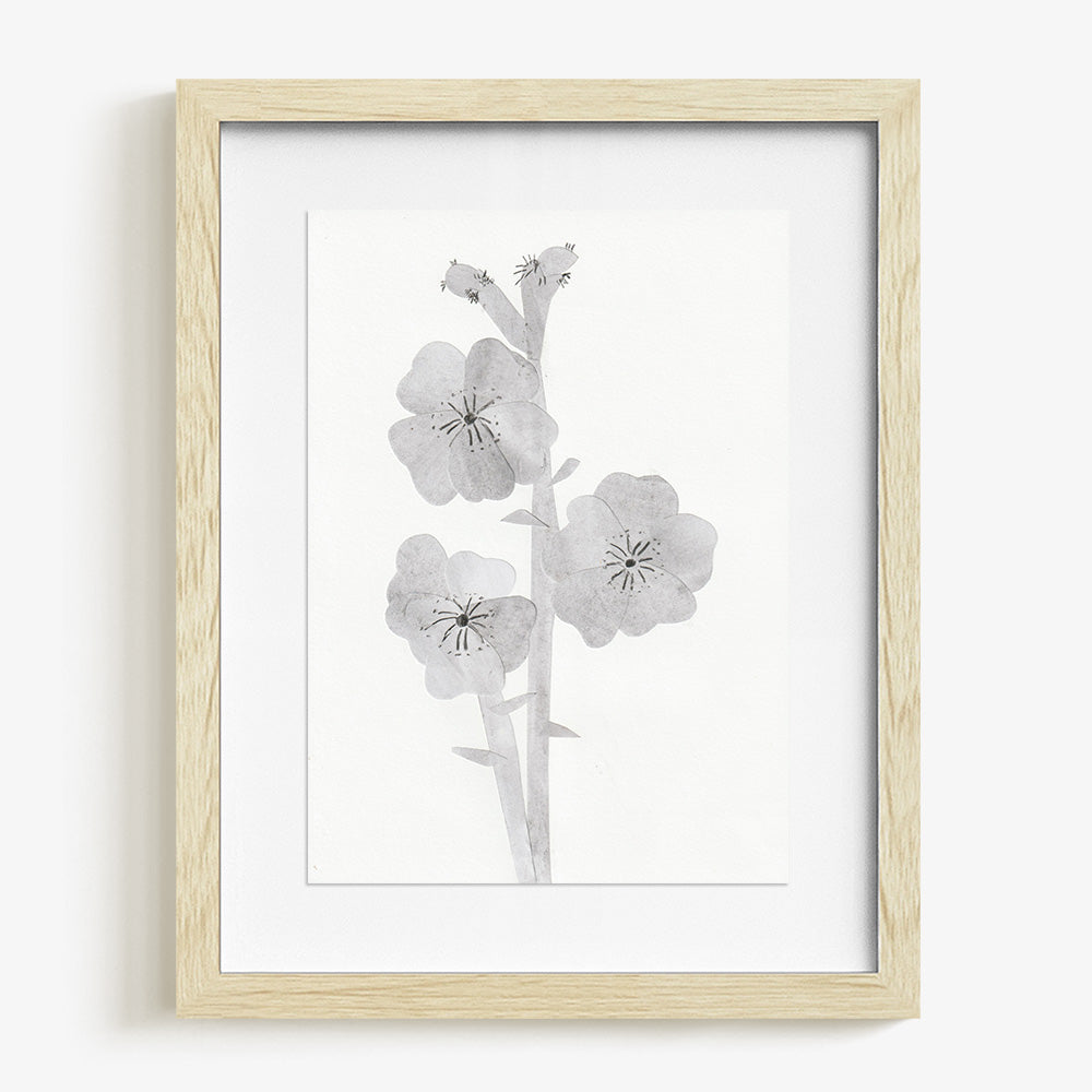 Collage by Johanna Tagada Hoffbeck