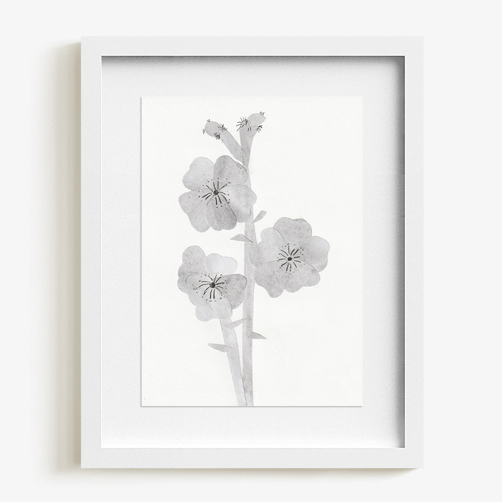 Collage by Johanna Tagada Hoffbeck