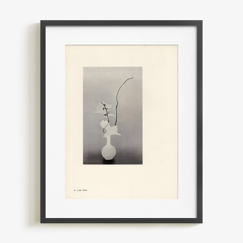 Print by Leigh Wells