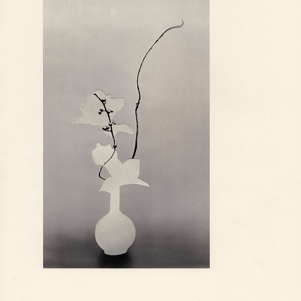 Print by Leigh Wells
