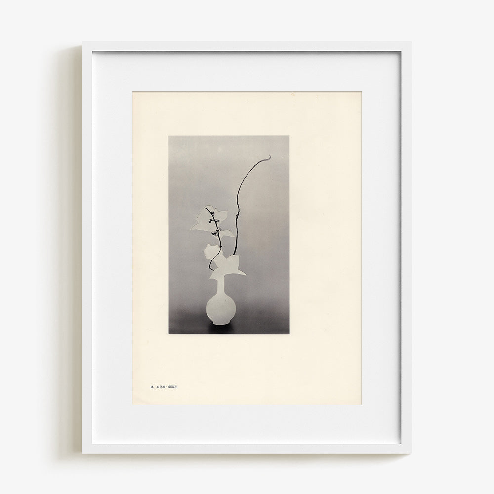 Print by Leigh Wells