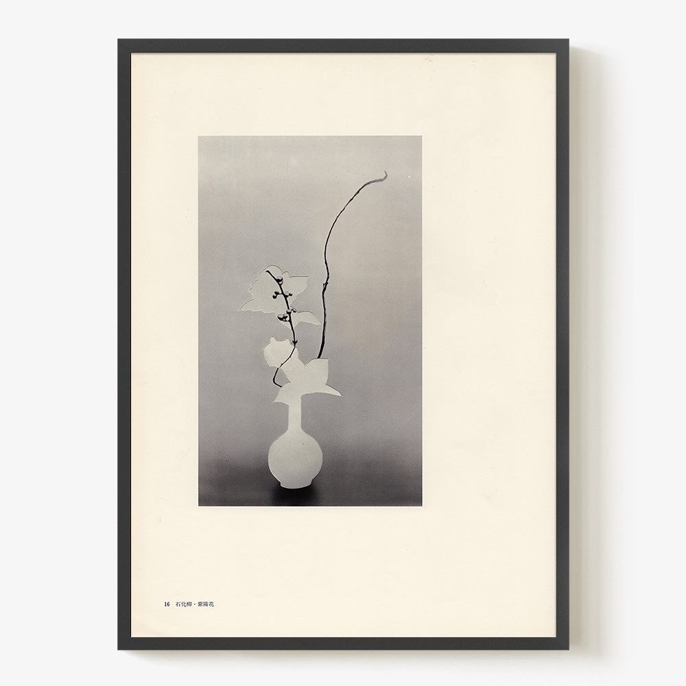 Print by Leigh Wells