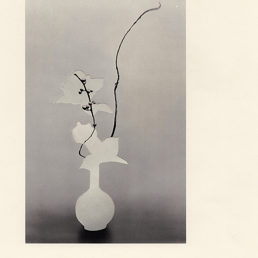Print by Leigh Wells