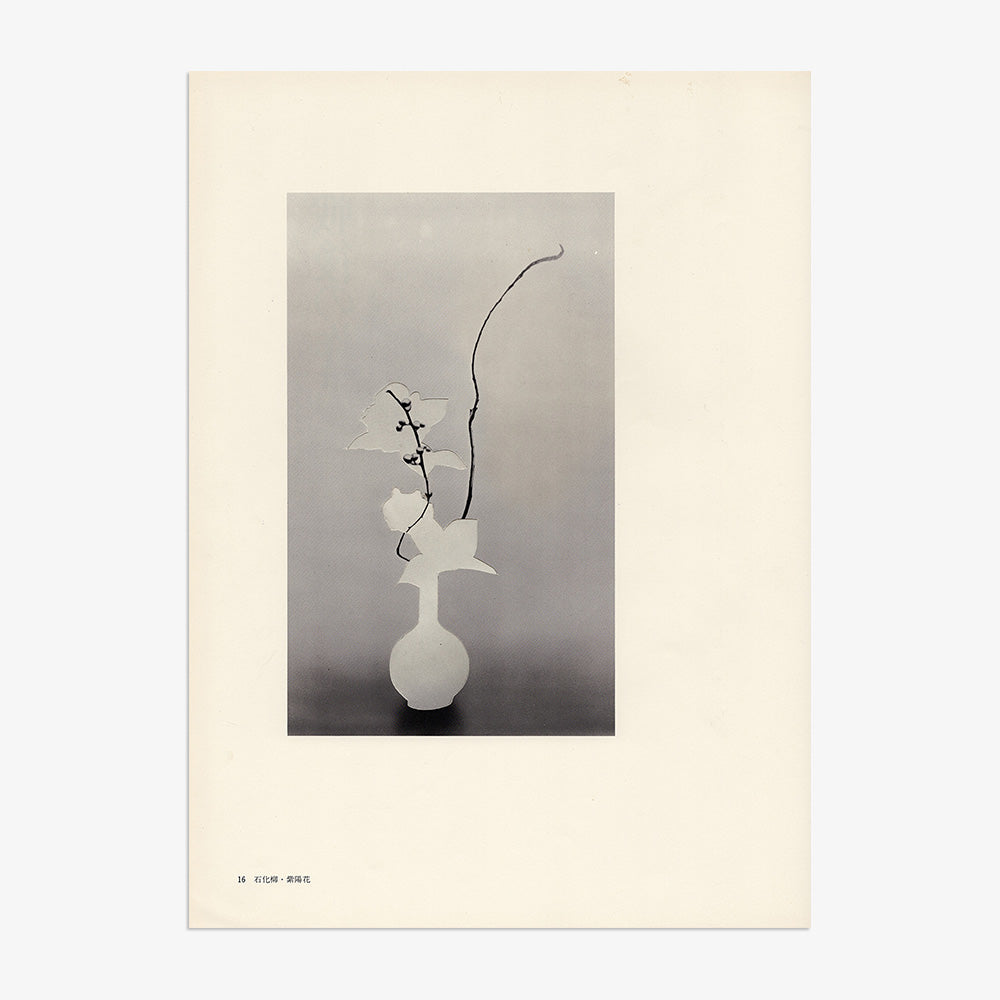 Print by Leigh Wells