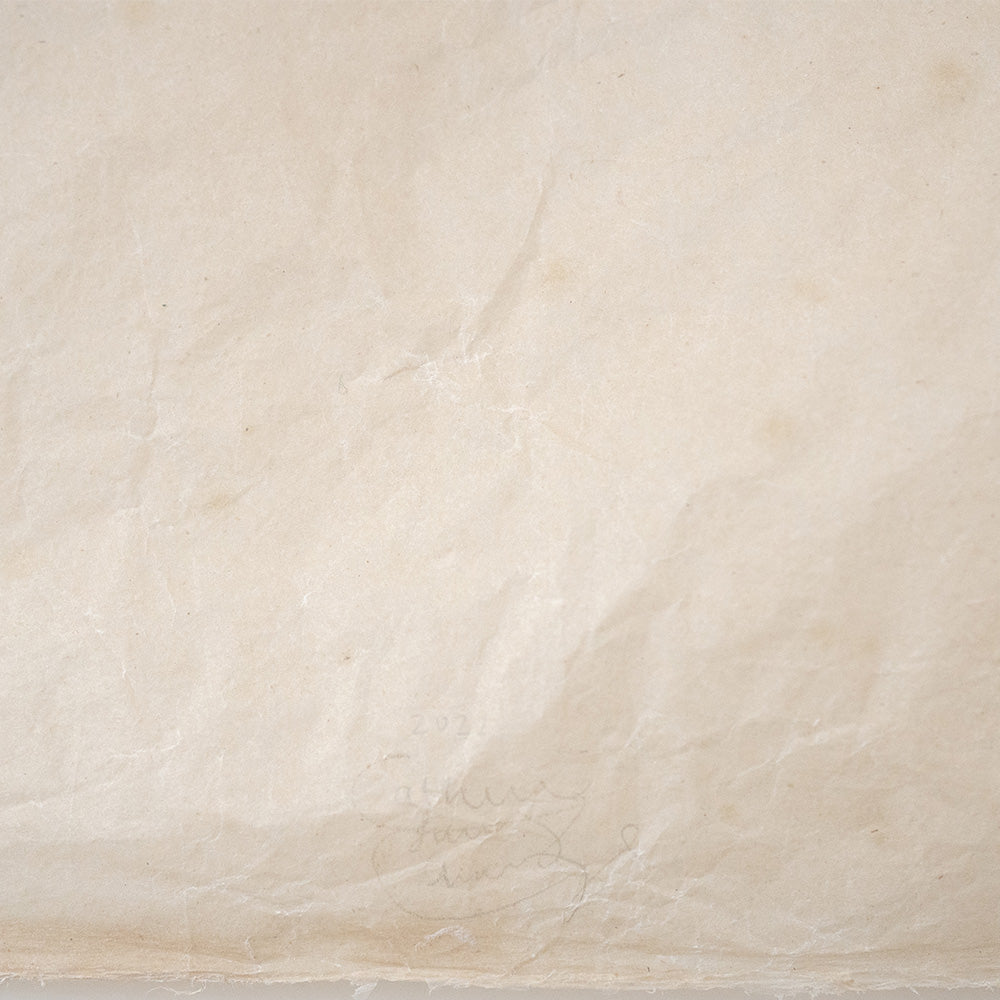 Work on Paper by Catherine Lucky Chang