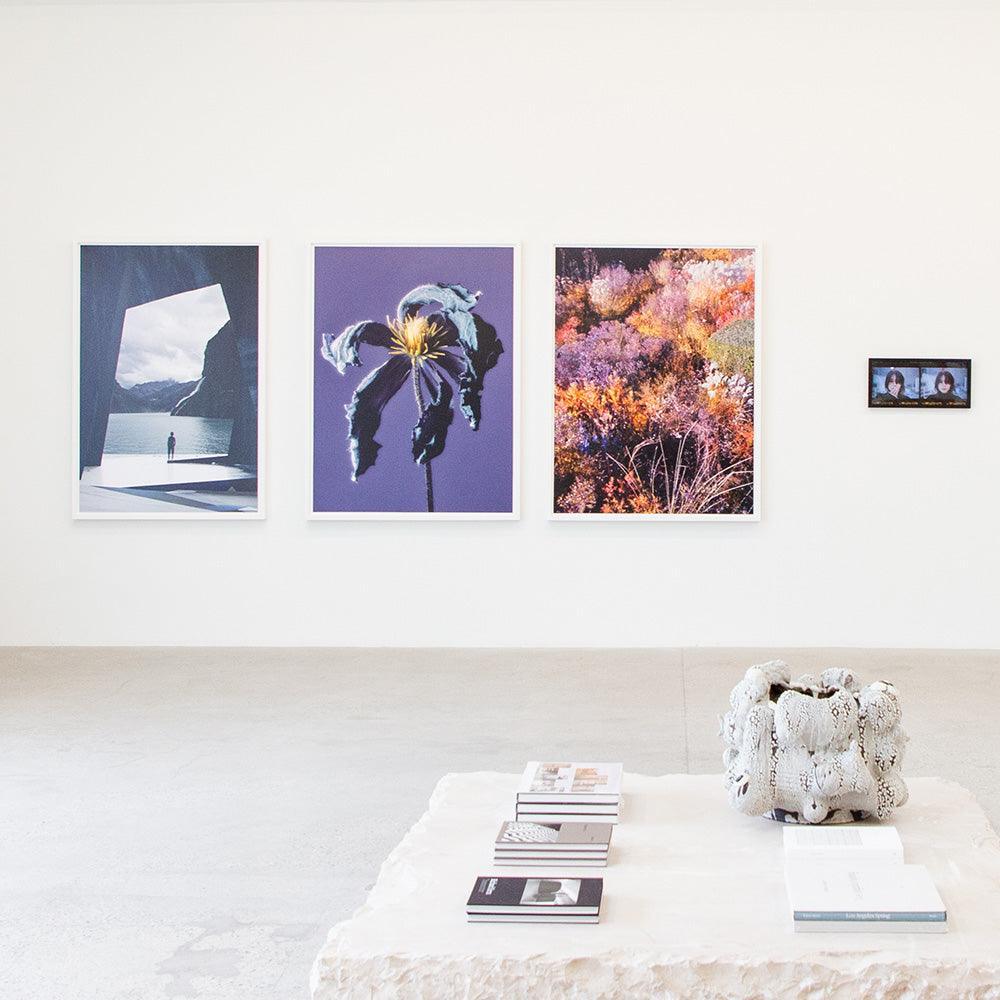 Crepuscule , Photograph by Crepuscule Tappan