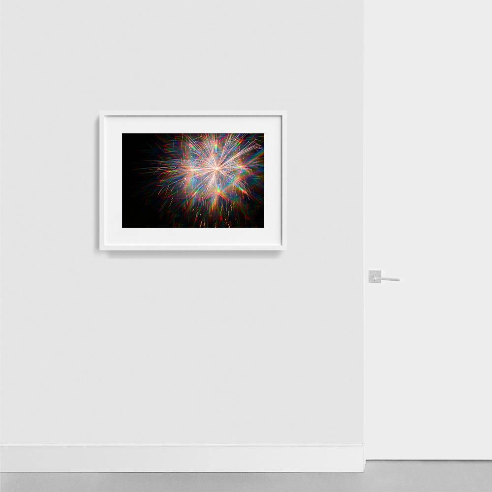 Photograph by Gia Coppola