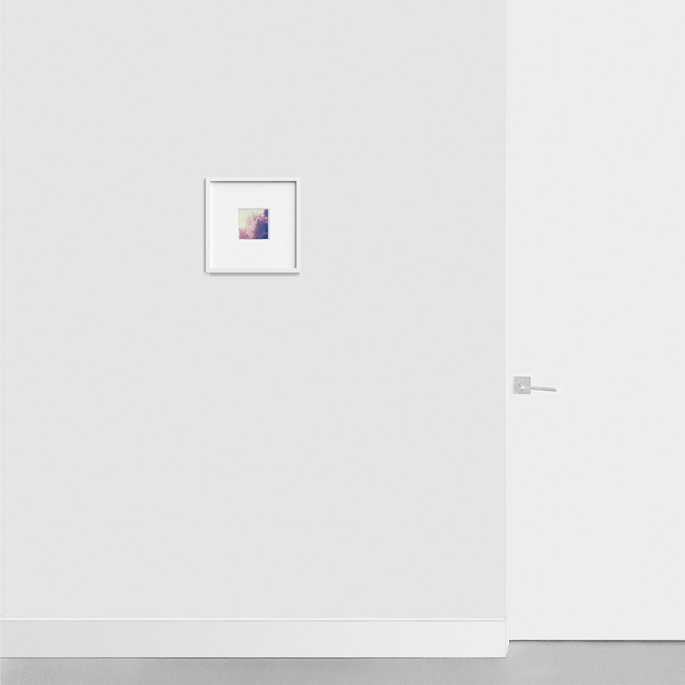 Polaroid by Neil Kryszak