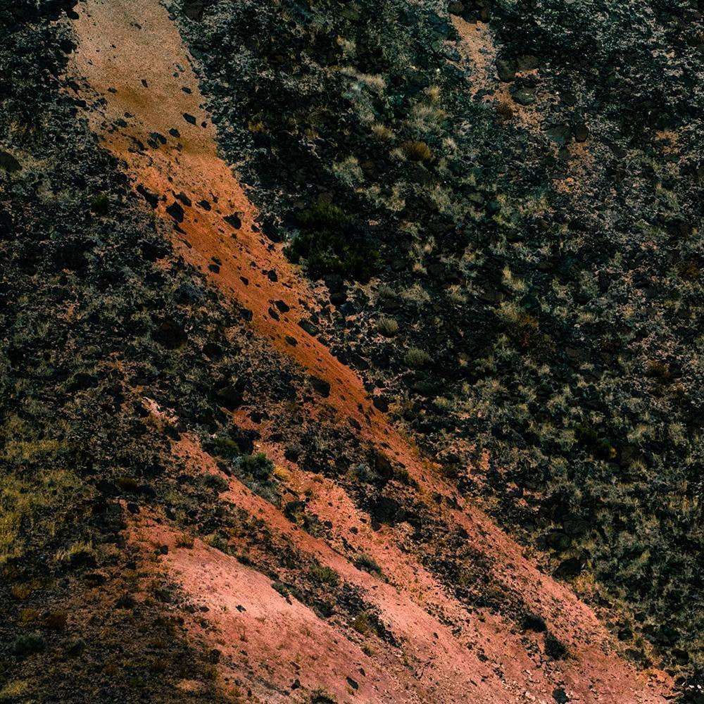 Photograph by Brian Merriam