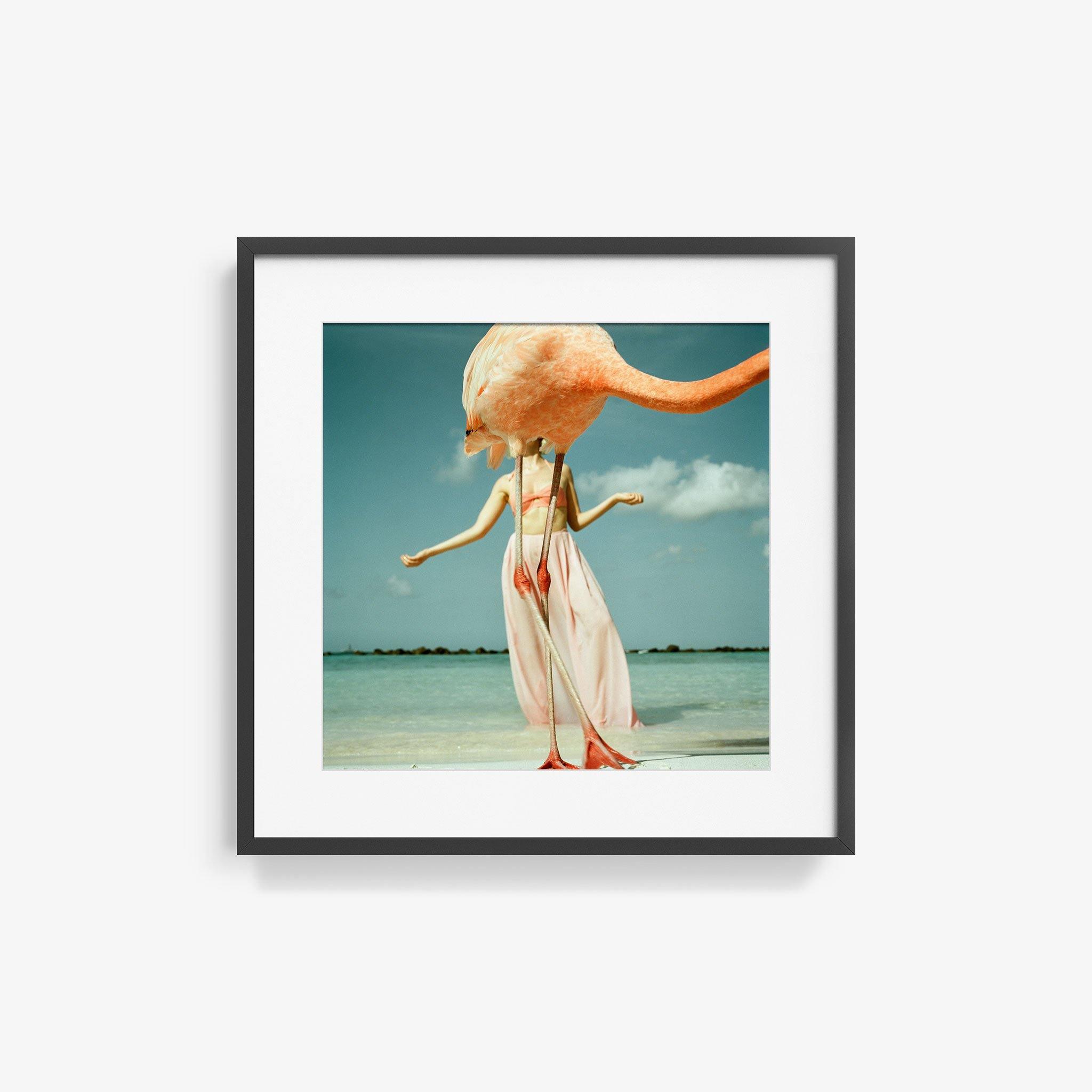 Photograph by Annelie Vandendael