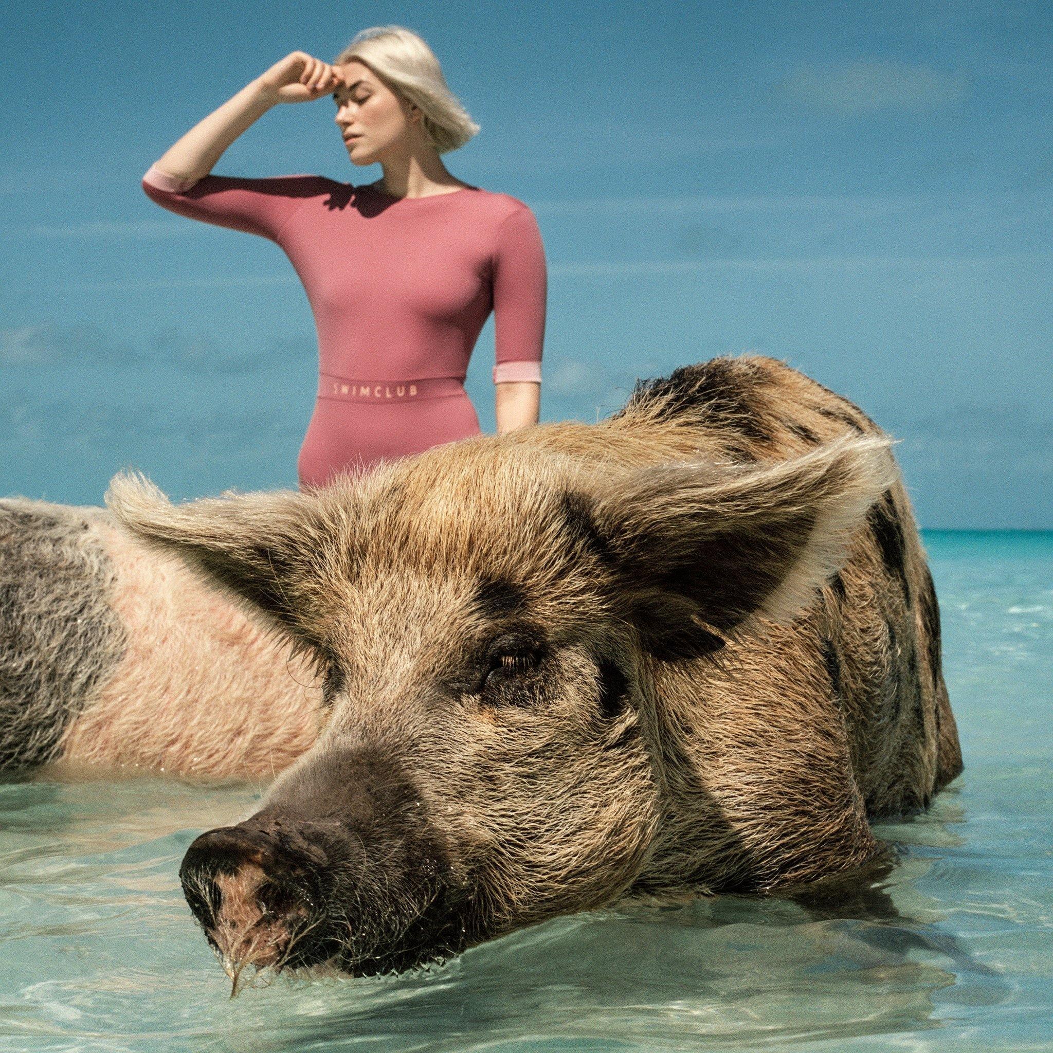 Sois Belle 2.29 , Photography by Sois Belle 2.29 Tappan