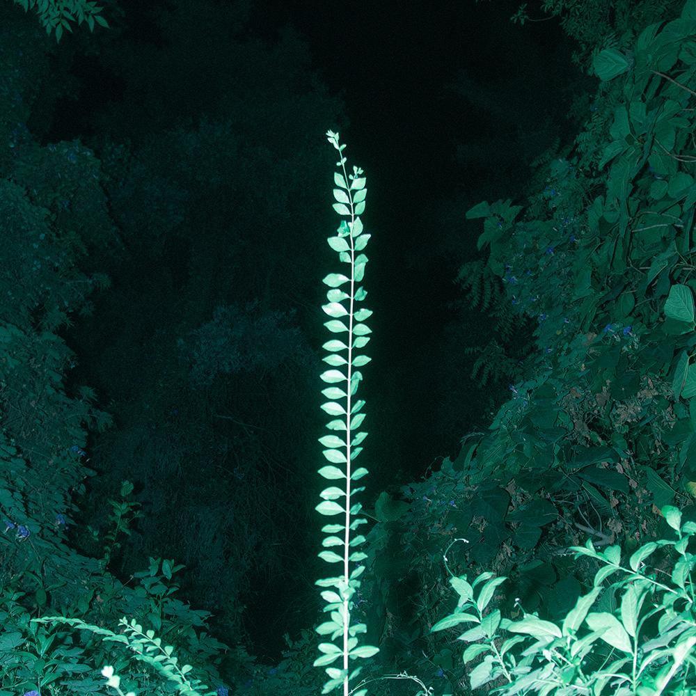 Photograph by Neil Kryszak