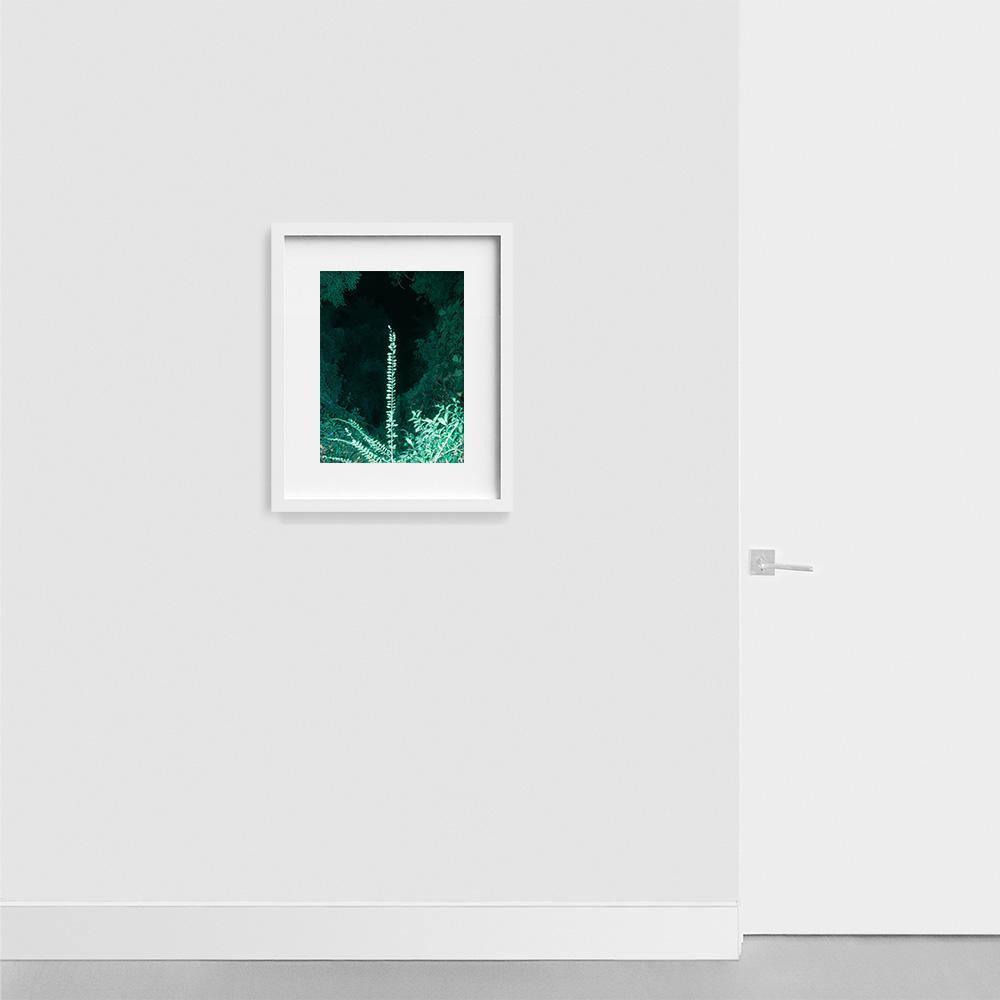 Photograph by Neil Kryszak