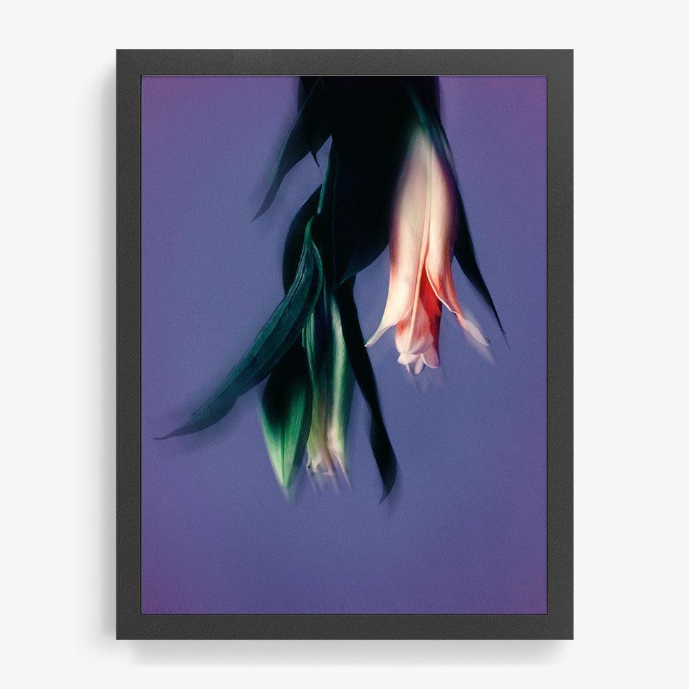 Photograph by Katie Burdon