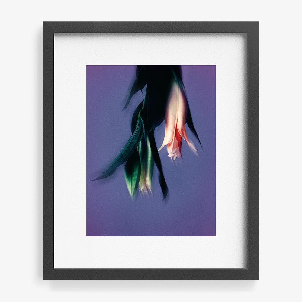 Photograph by Katie Burdon