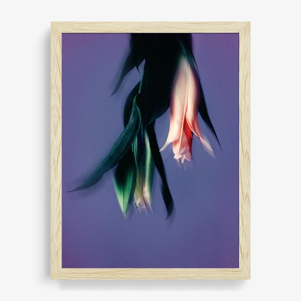 Photograph by Katie Burdon