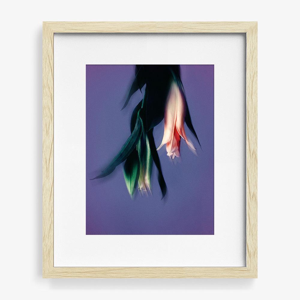 Photograph by Katie Burdon