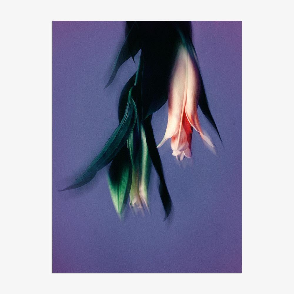 Photograph by Katie Burdon