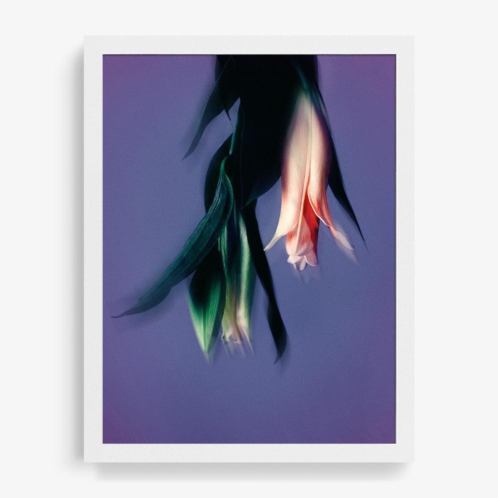 Photograph by Katie Burdon