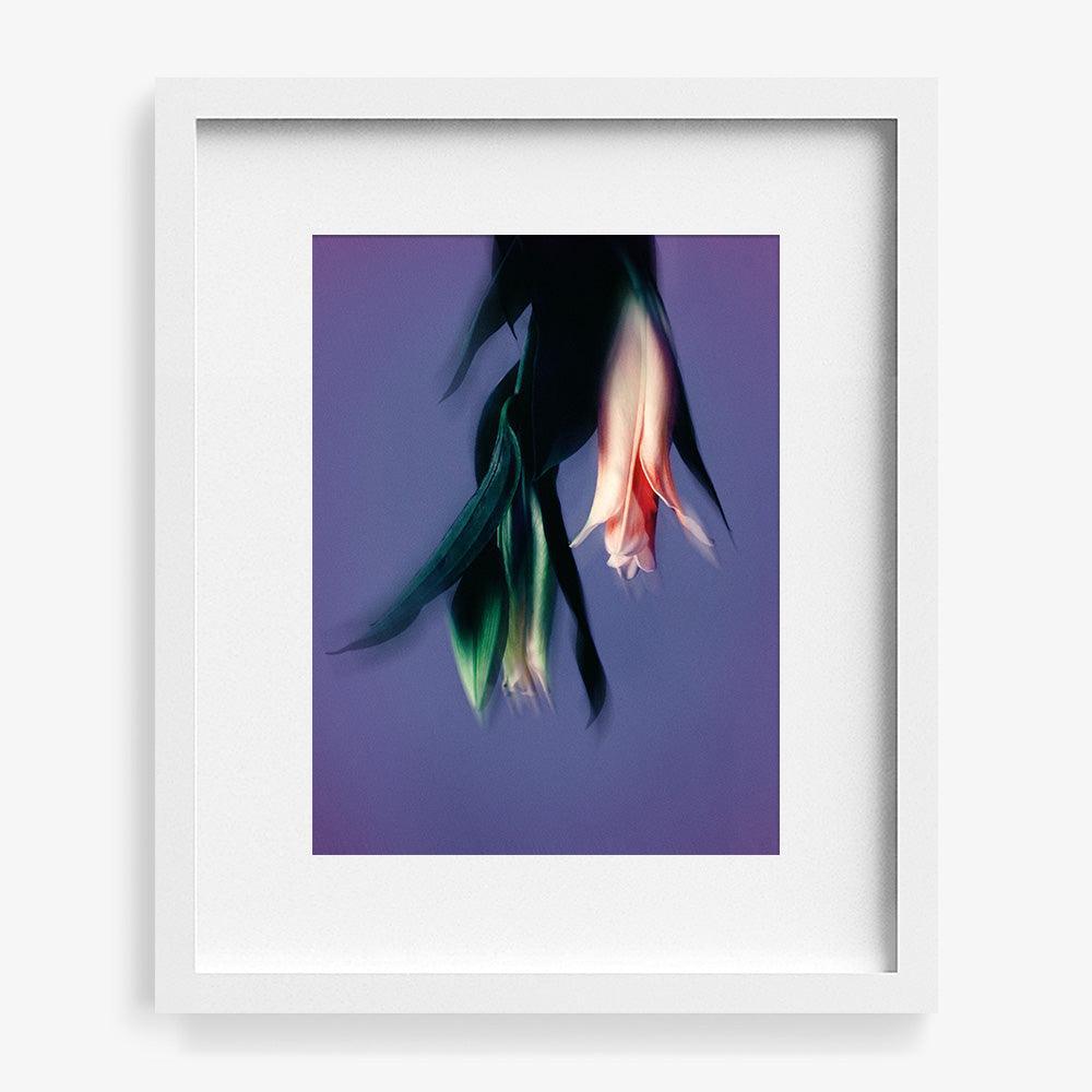 Photograph by Katie Burdon