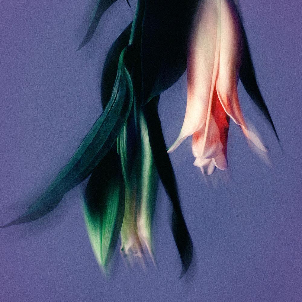 Photograph by Katie Burdon